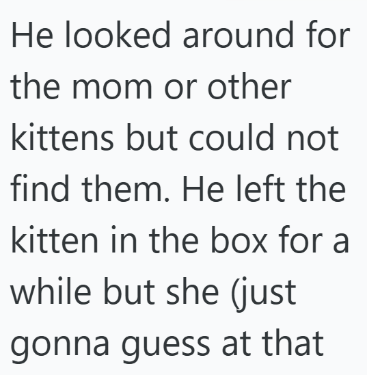 He looked around for the mom or other kittens but could not find them. He left the kitten in the box for a while but she (just gonna guess at that