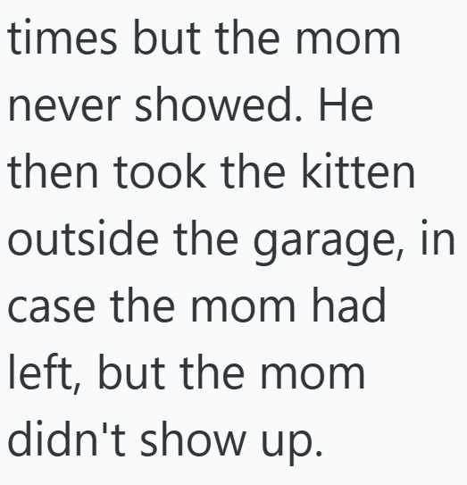 times but the mom never showed. He then took the kitten outside the garage, in case the mom had left, but the mom didn't show up.
