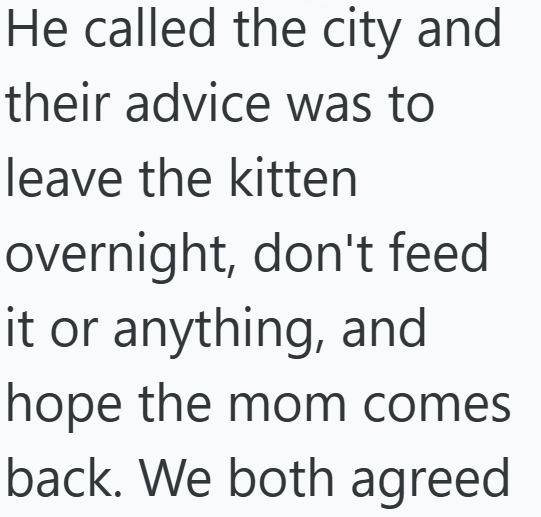 He called the city and their advice was to leave the kitten overnight, don't feed it or anything, and hope the mom comes back. We both agreed