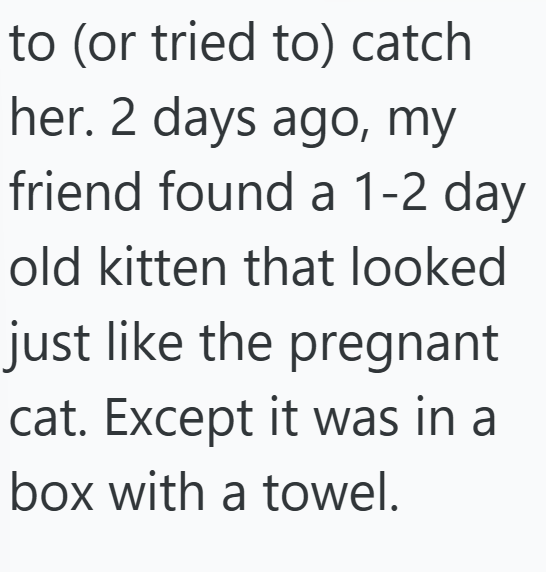 to (or tried to) catch her. 2 days ago, my friend found a 1-2 day old kitten that looked just like the pregnant cat. Except it was in a box with a towel.