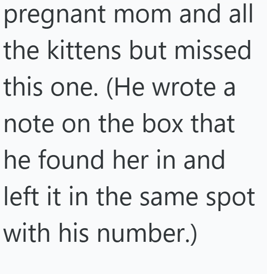 pregnant mom and all the kittens but missed this one. (He wrote a note on the box that he found her in and left it in the same spot with his number.)