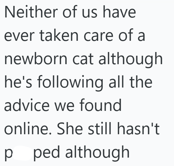 Neither of us have ever taken care of a newborn cat although he's following all the advice we found online. She still hasn't p ped although