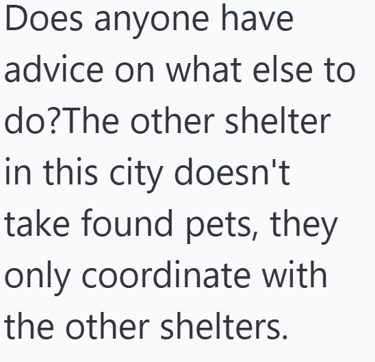 Does anyone have advice on what else to do?The other shelter in this city doesn't take found pets, they only coordinate with the other shelters.