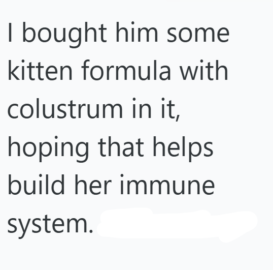 I bought him some kitten formula with colustrum in it, hoping that helps build her immune system.