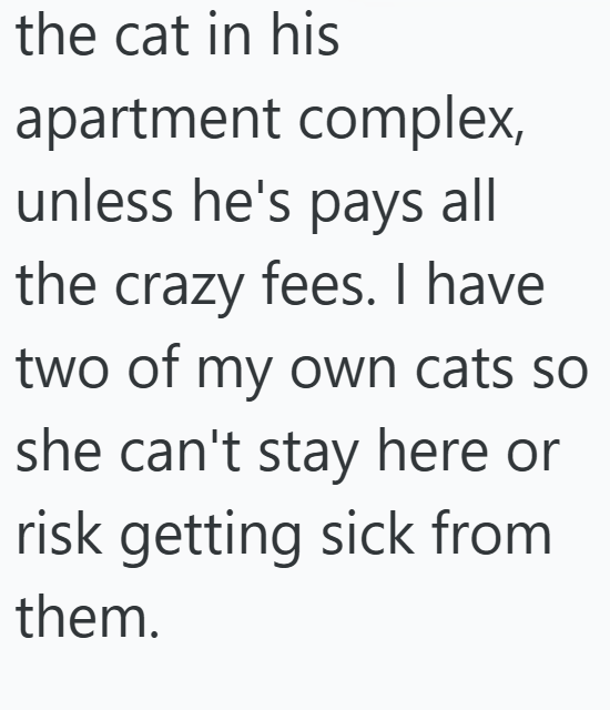 the cat in his apartment complex, unless he's pays all the crazy fees. I have two of my own cats so she can't stay here or risk getting sick from them.