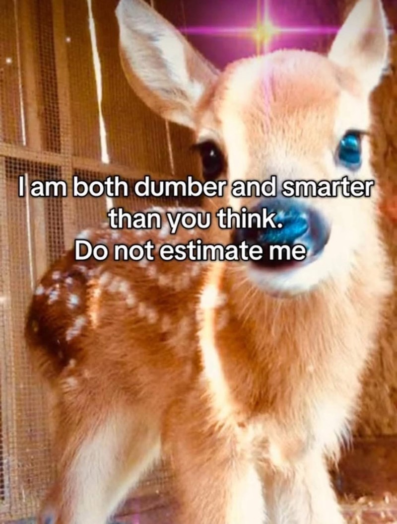 I am both dumber and smarter than you think. Do not estimate me