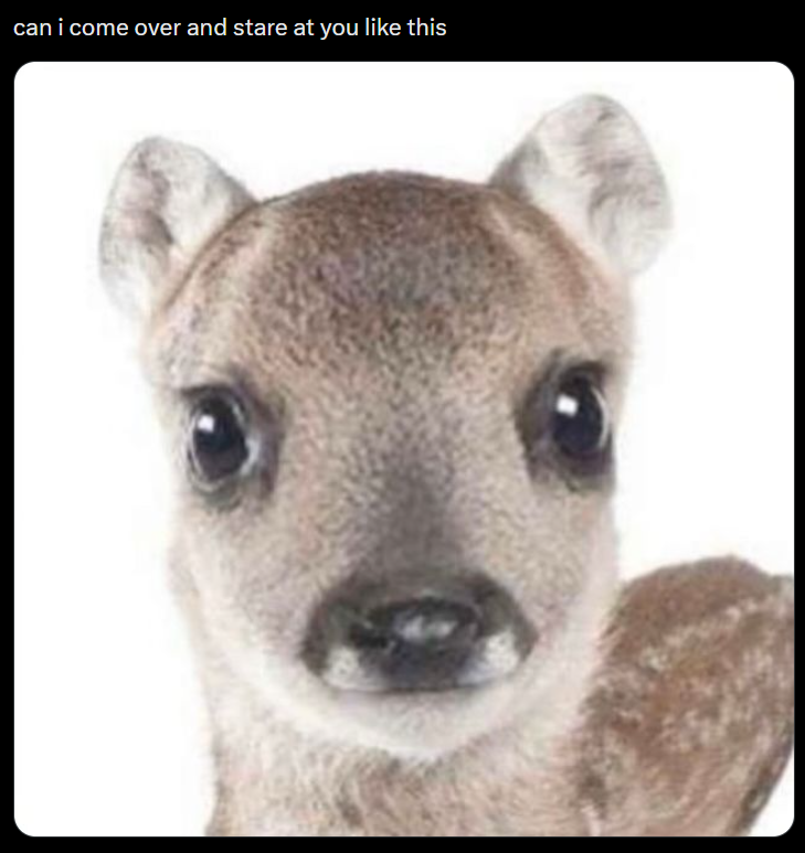 can i come over and stare at you like this