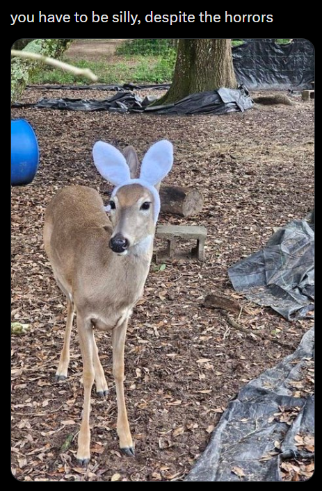 you have to be silly, despite the horrors