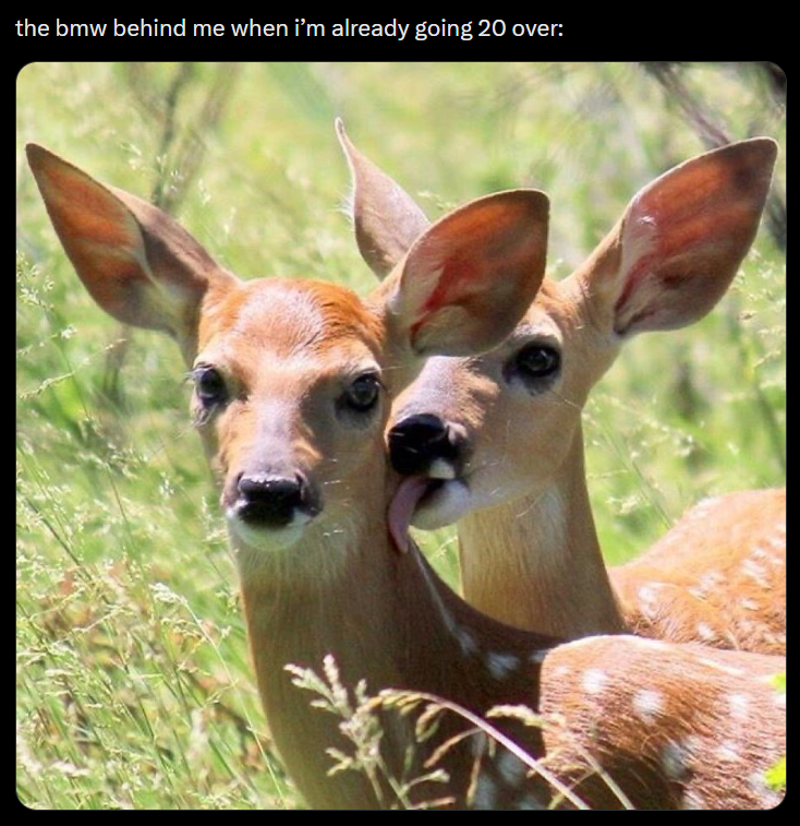 the bmw behind me when i'm already going 20 over: