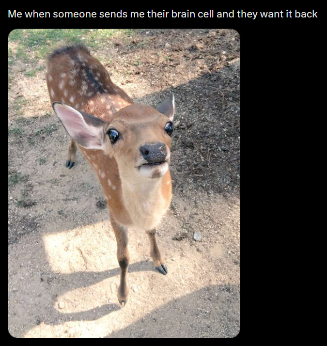 Me when someone sends me their brain cell and they want it back