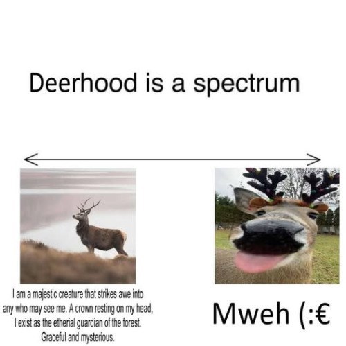 Deerhood is a spectrum I am a majestic creature that strikes awe into any who may see me. A crown resting on my head, I exist as the etherial guardian of the forest. Graceful and mysterious. Mweh (:€