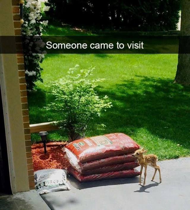 Someone came to visit 6.