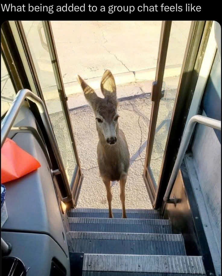 What being added to a group chat feels like