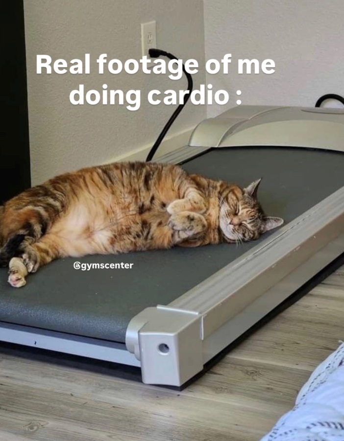 IEB Real footage of me doing cardio: @gymscenter
