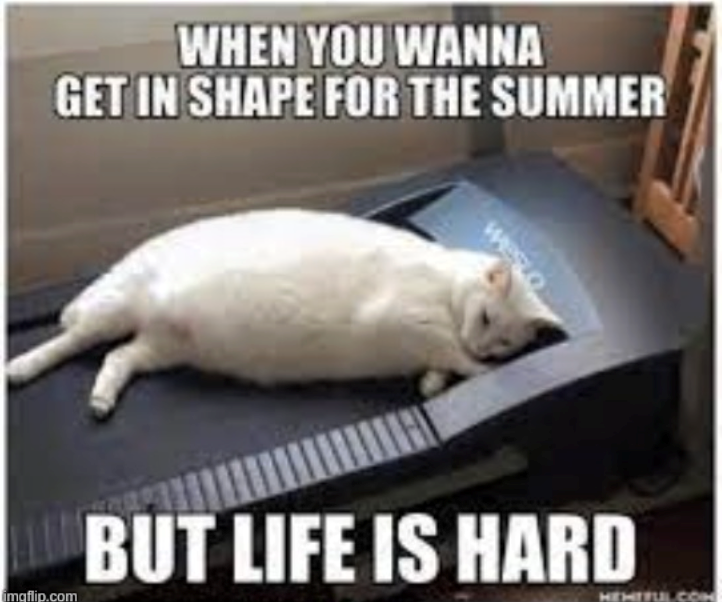 WHEN YOU WANNA GET IN SHAPE FOR THE SUMMER imgflip.com BUT LIFE IS HARD