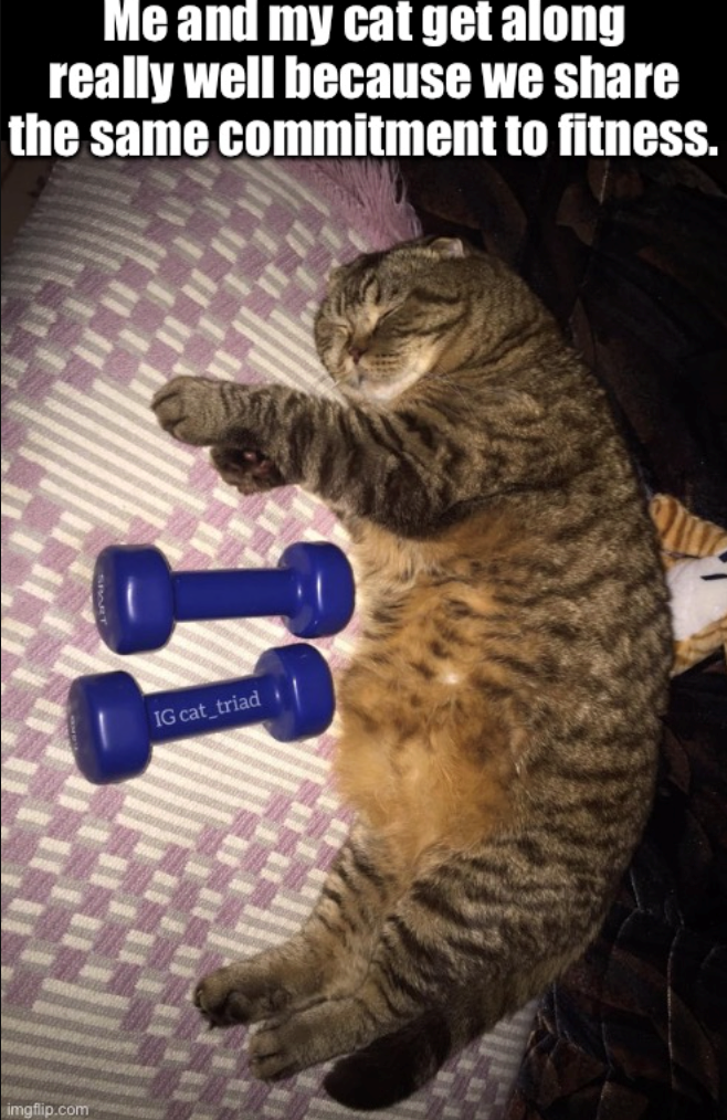 Me and my cat get along really well because we share the same commitment to fitness. imgflip.com IG cat_triad