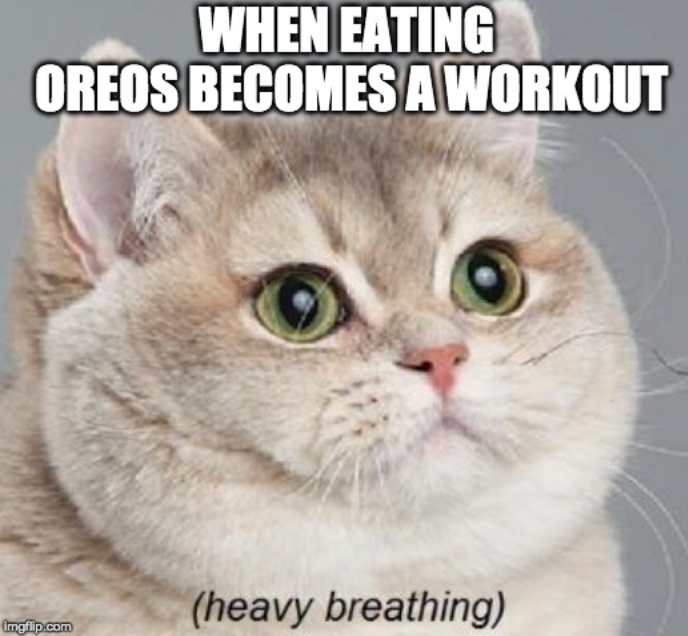 WHEN EATING OREOS BECOMES A WORKOUT imgflip.com (heavy breathing)
