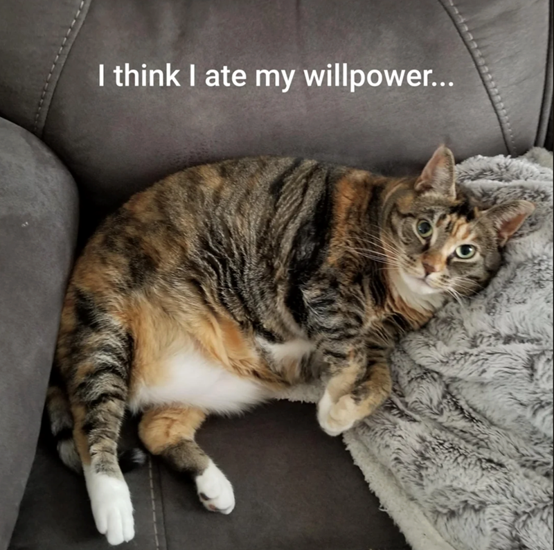 I think I ate my willpower...