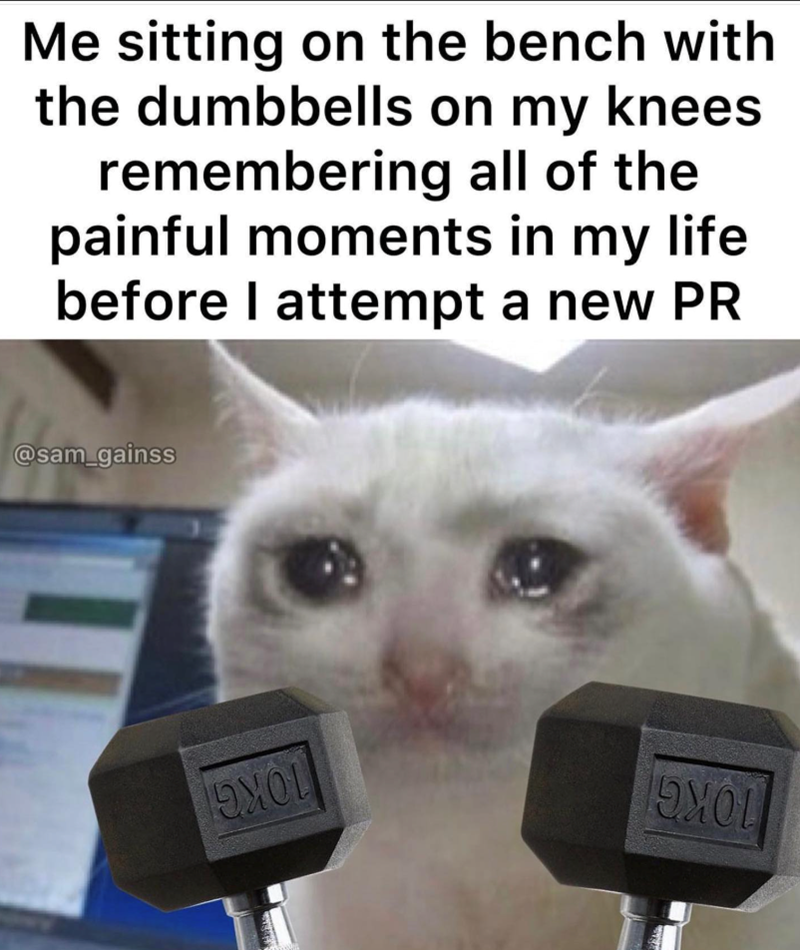 Me sitting on the bench with the dumbbells on my knees remembering all of the painful moments in my life before I attempt a new PR @sam_gainss ΟΧΟΙ