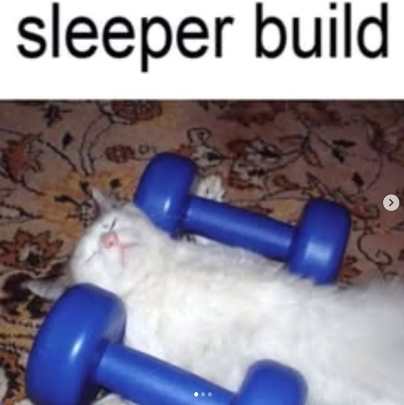 sleeper build 600 > 2