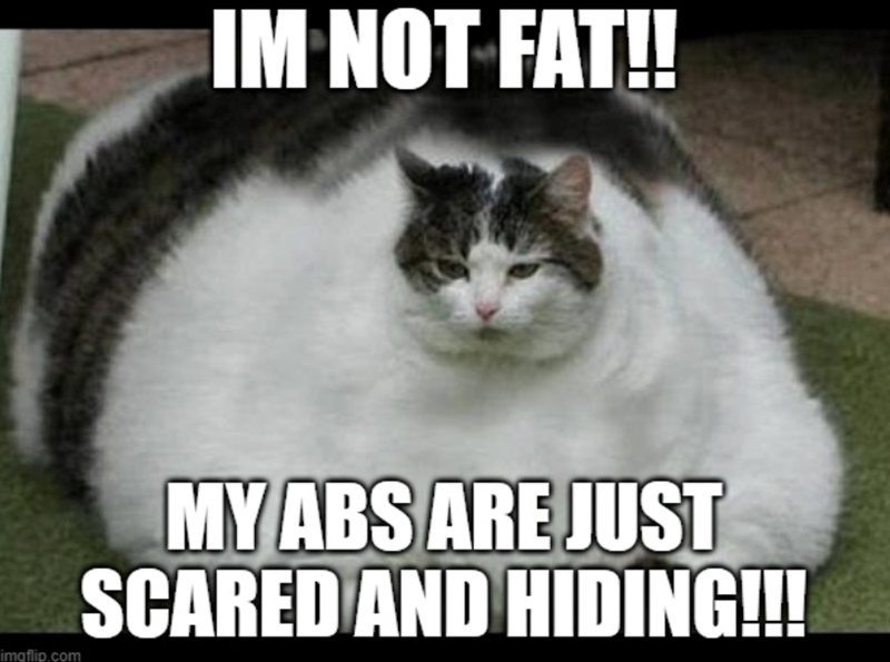IM NOT FAT!! imgflip.com MY ABS ARE JUST SCARED AND HIDING!!!!