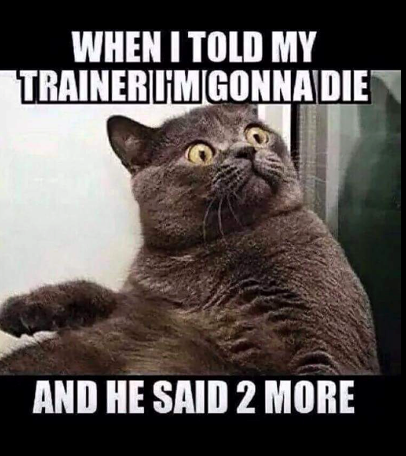 WHEN I TOLD MY TRAINERUM GONNA DIE AND HE SAID 2 MORE