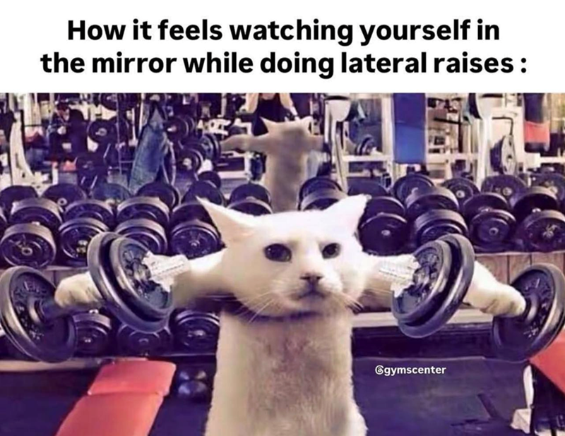 How it feels watching yourself in the mirror while doing lateral raises : @gymscenter