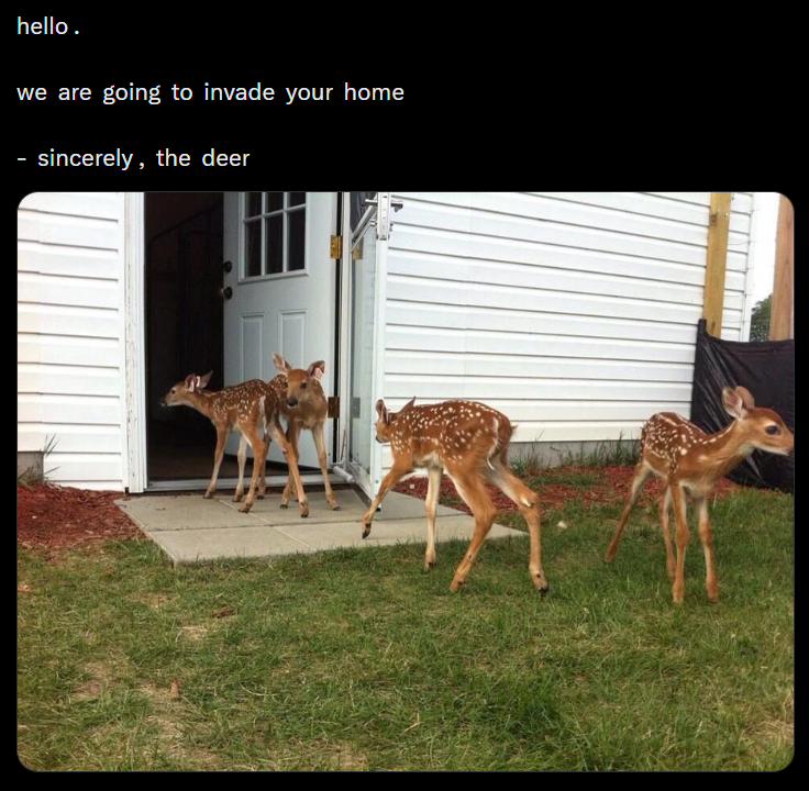 hello. we are going to invade your home - sincerely, the deer