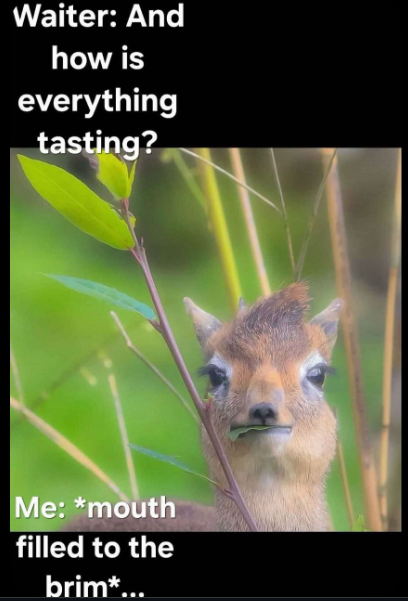 Waiter: And how is everything tasting? Me: *mouth filled to the brim*...