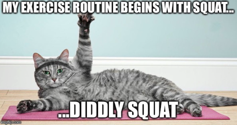 MY EXERCISE ROUTINE BEGINS WITH SQUAT... imgflip.com DIDDLY SQUAT
