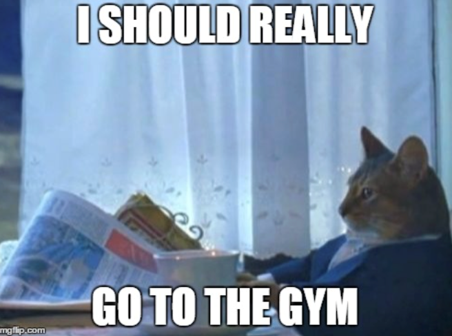 I SHOULD REALLY GO TO THE GYM mgflip.com