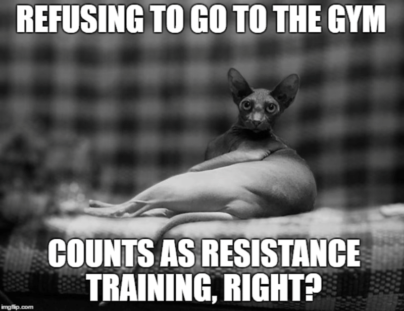 REFUSING TO GO TO THE GYM imgflip.com COUNTS AS RESISTANCE TRAINING, RIGHT?