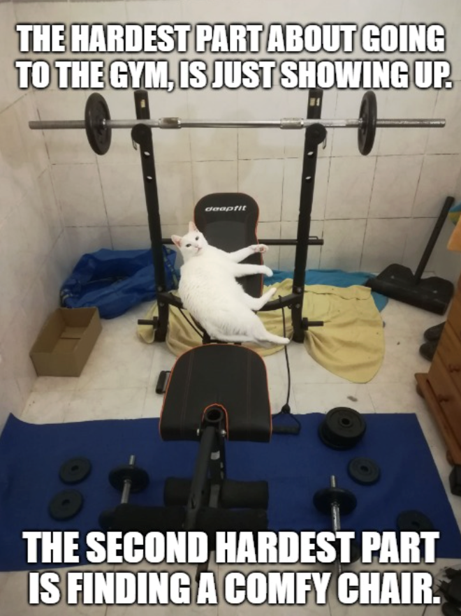 THE HARDEST PART ABOUT GOING TO THE GYM, IS JUST SHOWING UP. daaptit THE SECOND HARDEST PART IS FINDING A COMFY CHAIR.