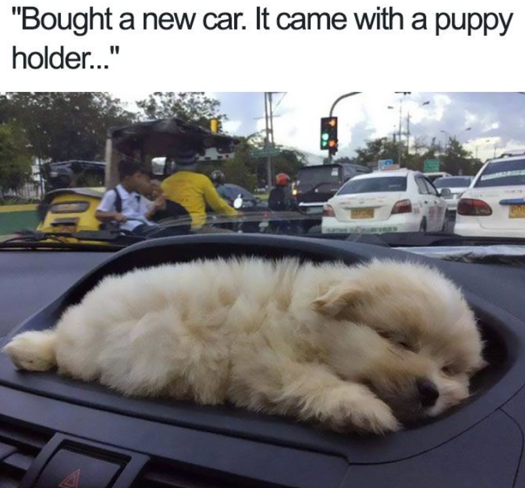 "Bought a new car. It came with a puppy holder..." A