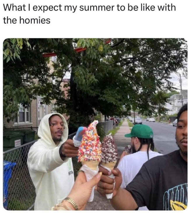 What I expect my summer to be like with the homies