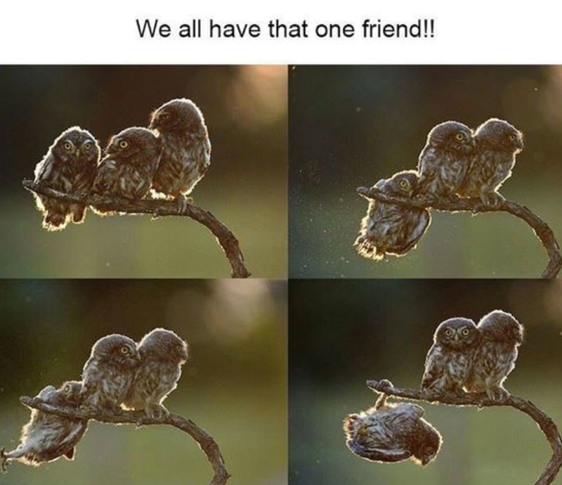 We all have that one friend!!