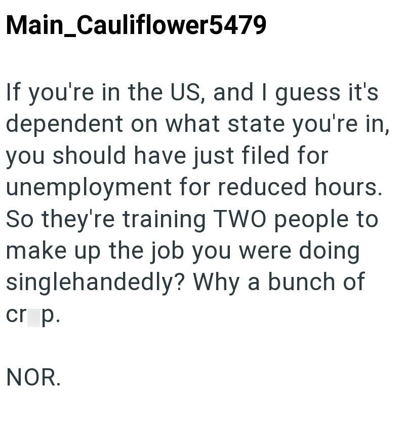 Main_Cauliflower5479 If you're in the US, and I guess it's dependent on what state you're in, you should have just filed for unemployment for reduced hours. So they're training TWO people to make up the job you were doing singlehandedly? Why a bunch of cr p. NOR.