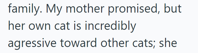 family. My mother promised, but her own cat is incredibly agressive toward other cats; she