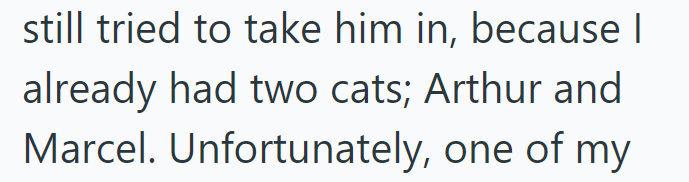still tried to take him in, because I already had two cats; Arthur and Marcel. Unfortunately, one of my