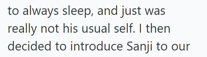 to always sleep, and just was really not his usual self. I then decided to introduce Sanji to our