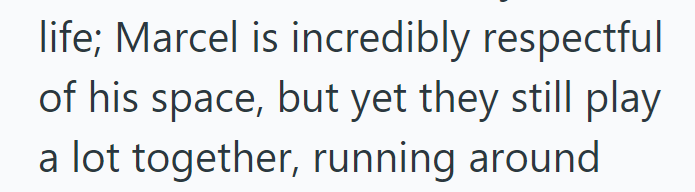 life; Marcel is incredibly respectful of his space, but yet they still play lot together, running around