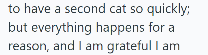 to have a second cat so quickly; but everything happens for a reason, and I am grateful I am