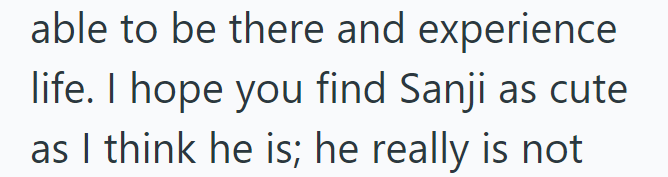 able to be there and experience life. I hope you find Sanji as cute as I think he is; he really is not