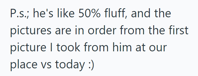 P.s.; he's like 50% fluff, and the pictures are in order from the first picture I took from him at our place vs today :)