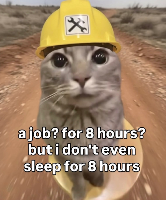 a job? for 8 hours? but i don't even sleep for 8 hours