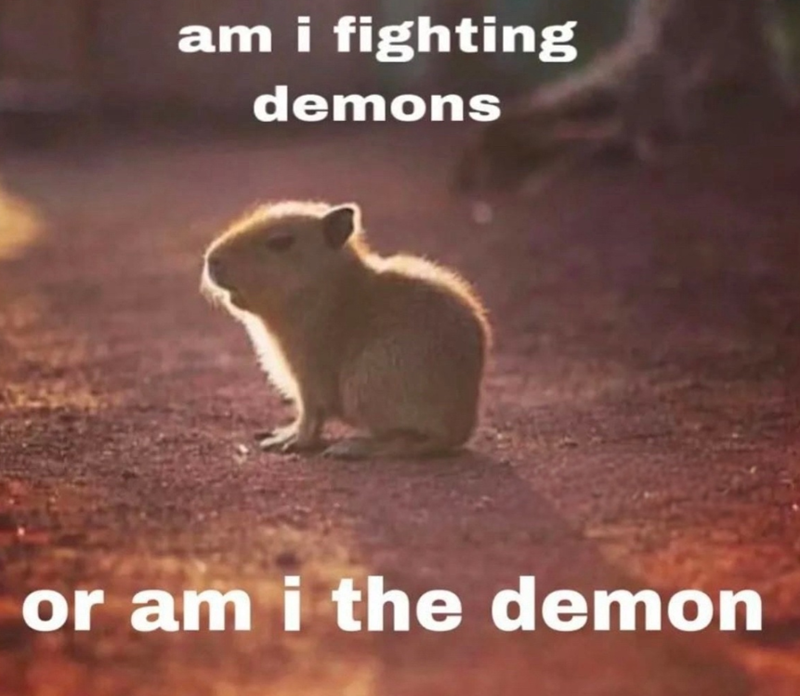 am i fighting demons or am i the demon