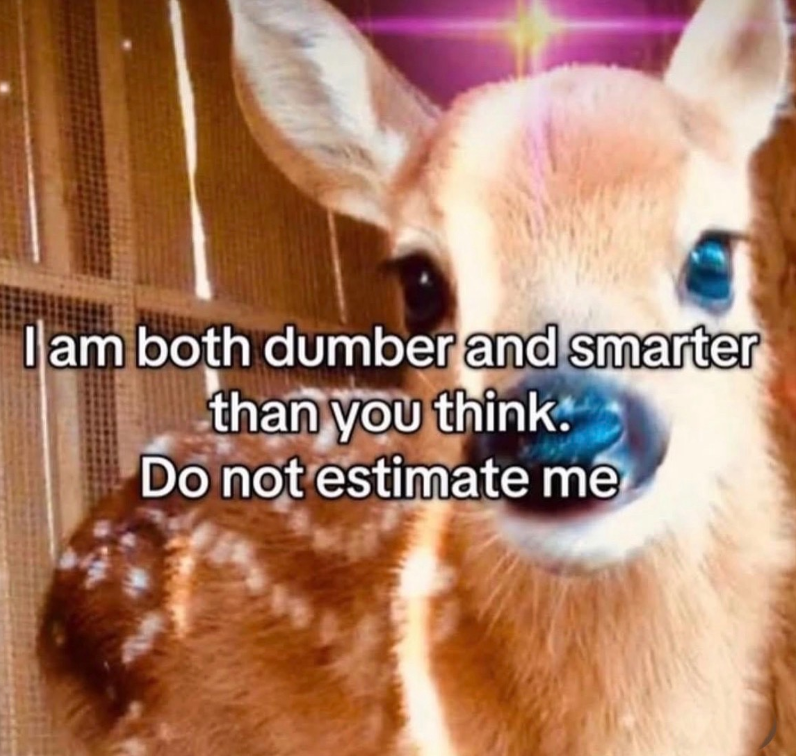 I am both dumber and smarter than you think. Do not estimate me