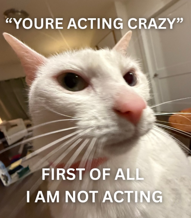 "YOURE ACTING CRAZY" FIRST OF ALL I AM NOT ACTING