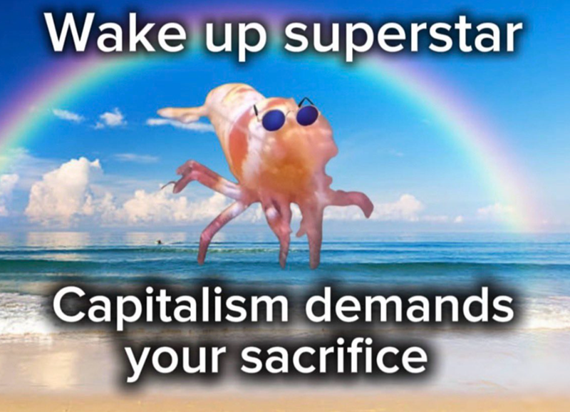 Wake up superstar Capitalism demands your sacrifice