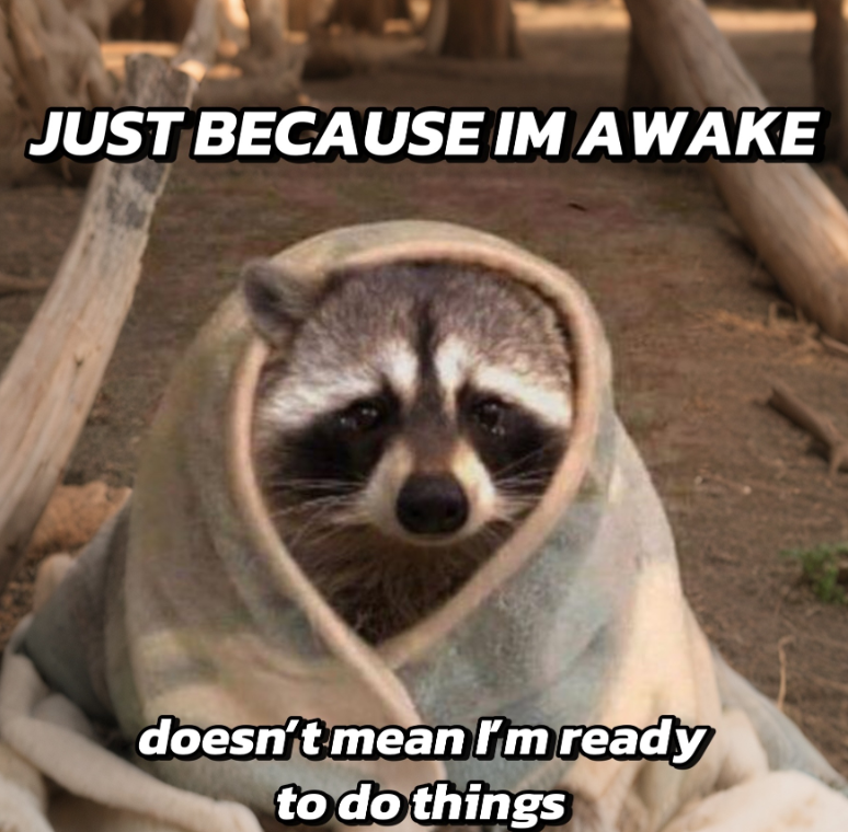 JUST BECAUSE IM AWAKE doesn't mean I'm ready to do things